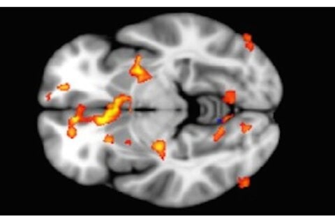 Emotional processing increases when the mind is allowed to wander