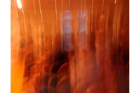 Setting the conditions for good meditation