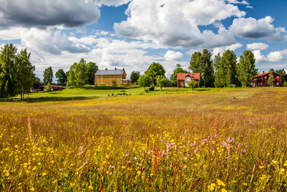 Practical information for international retreats at Lundsholm